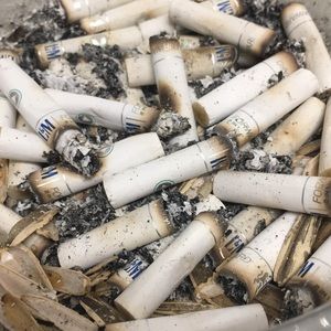 Meet your Posher, Kevin